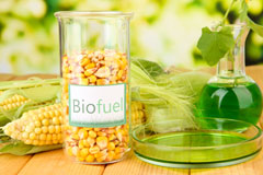 Eworthy biofuel availability